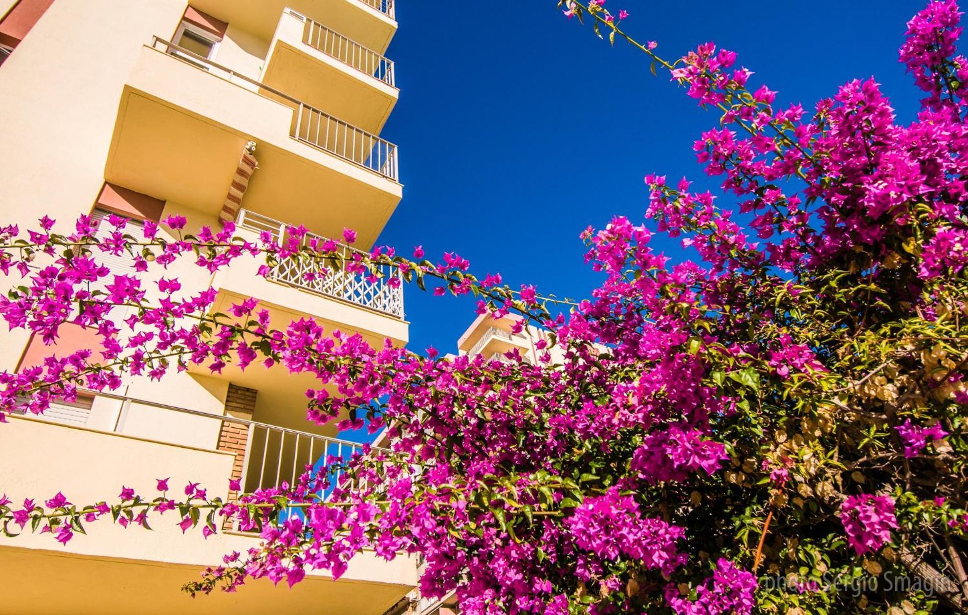 426 Estudio En Minerva Apartamentos - Vista Al Jardin - Piscina Y Playa Бенальмадена Экстерьер фото